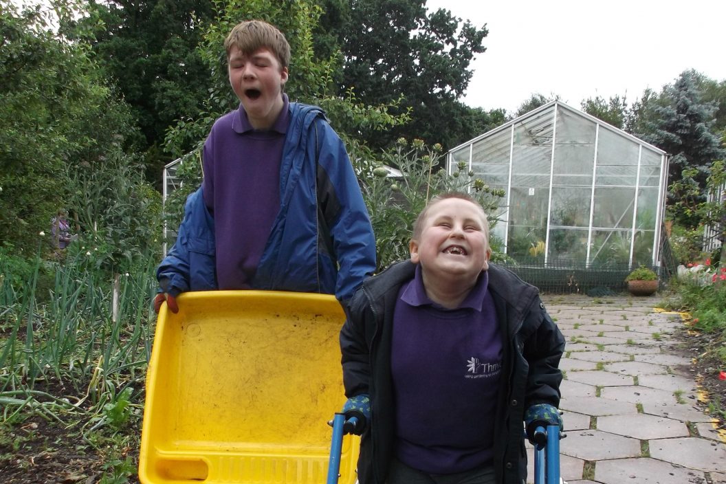 Bham connor and billy passion for gardening