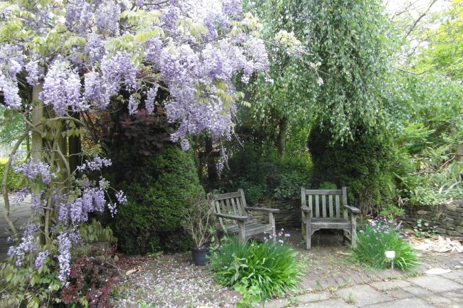 Flowers in Birmingham Gardens