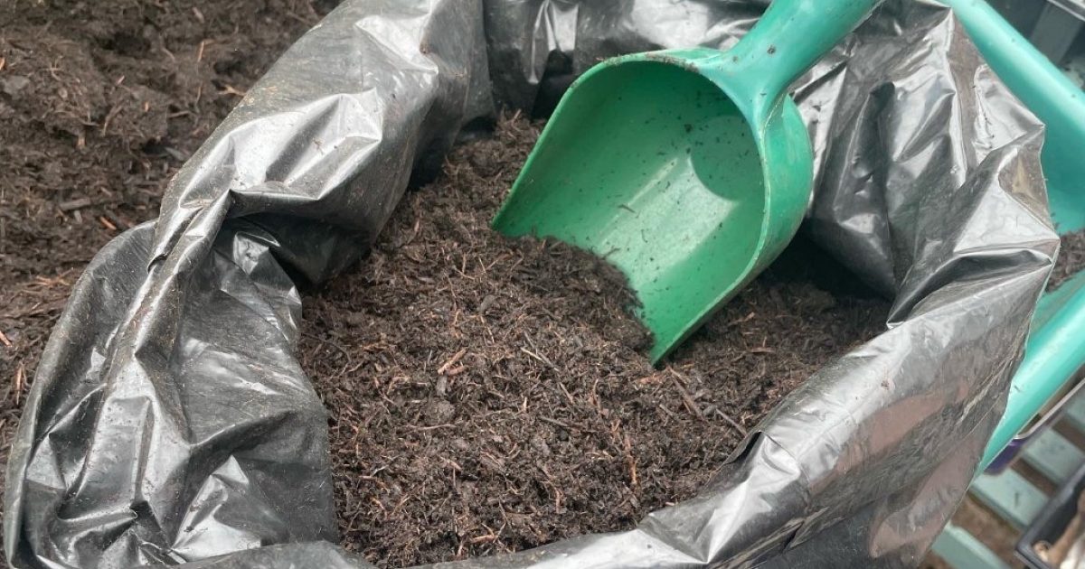 Growing potatoes in a compost bag Thrive