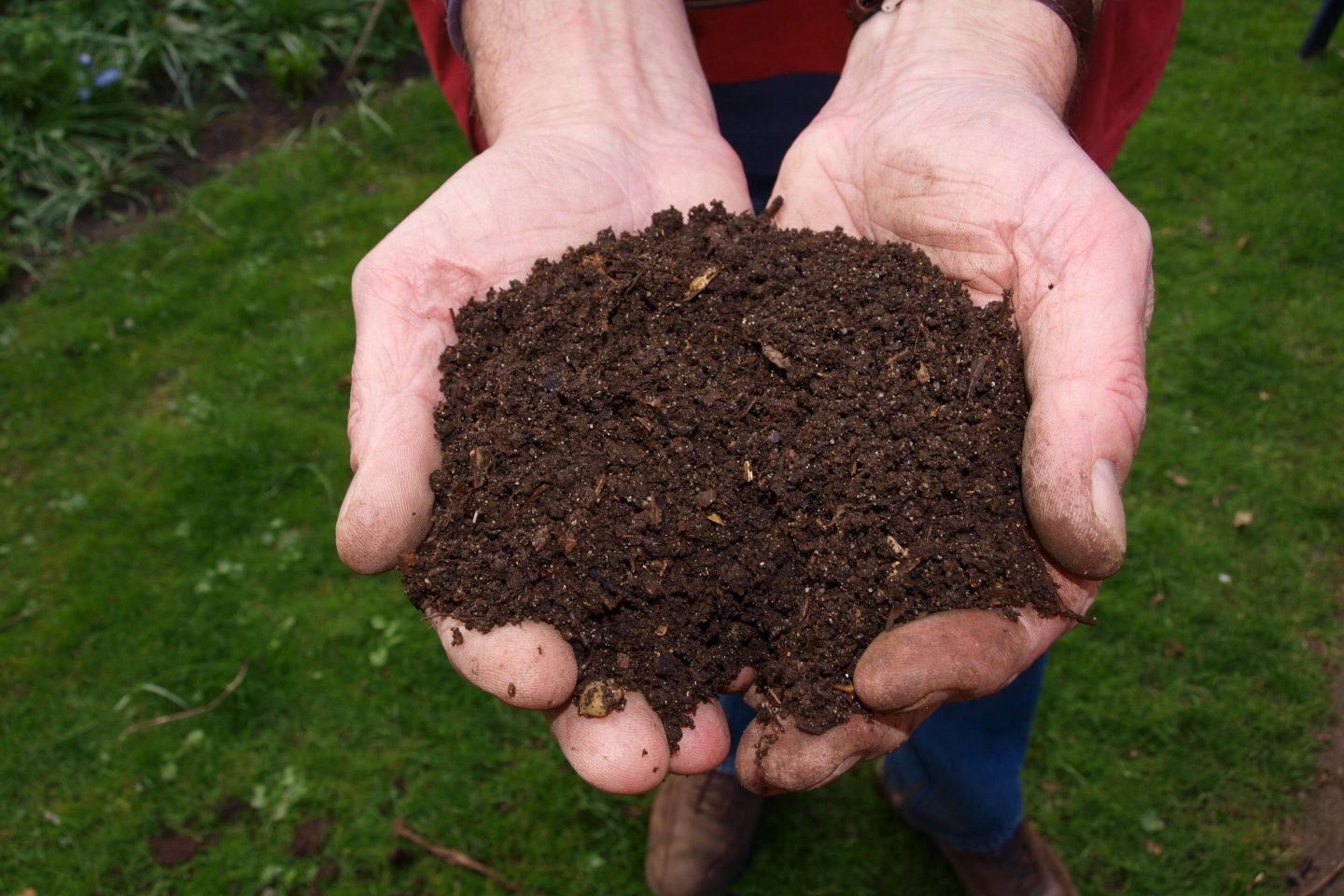 A person holds soil in their hands