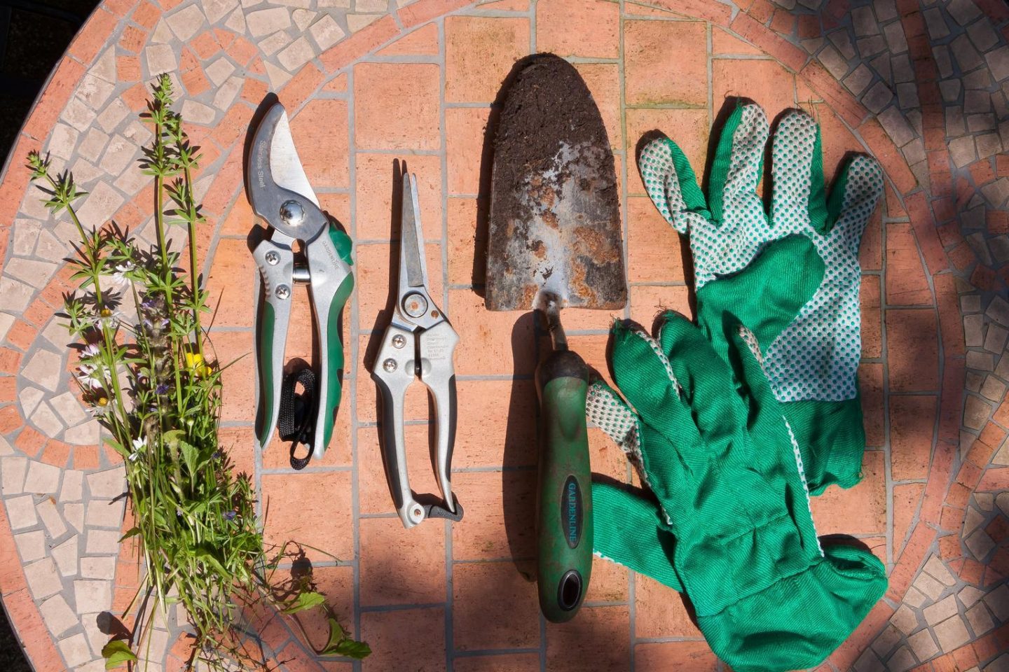 Secateurs and other tools laid out