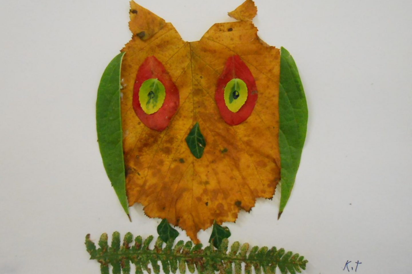 How to create leaf art - Thrive