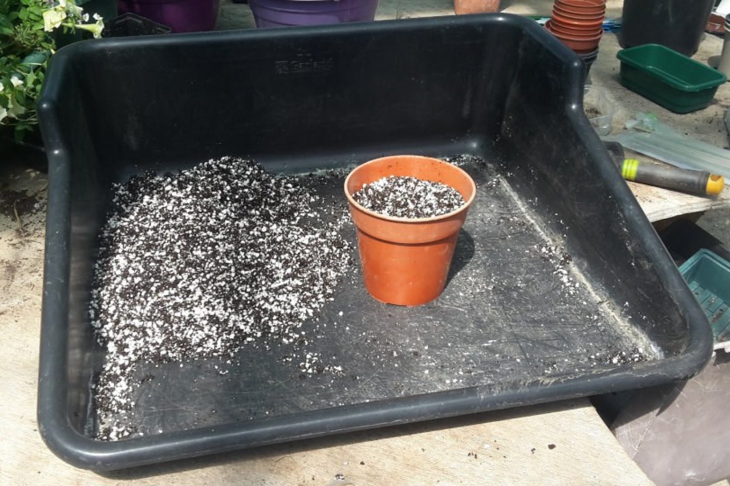 A pot filled with compost ready for a leaf cutting