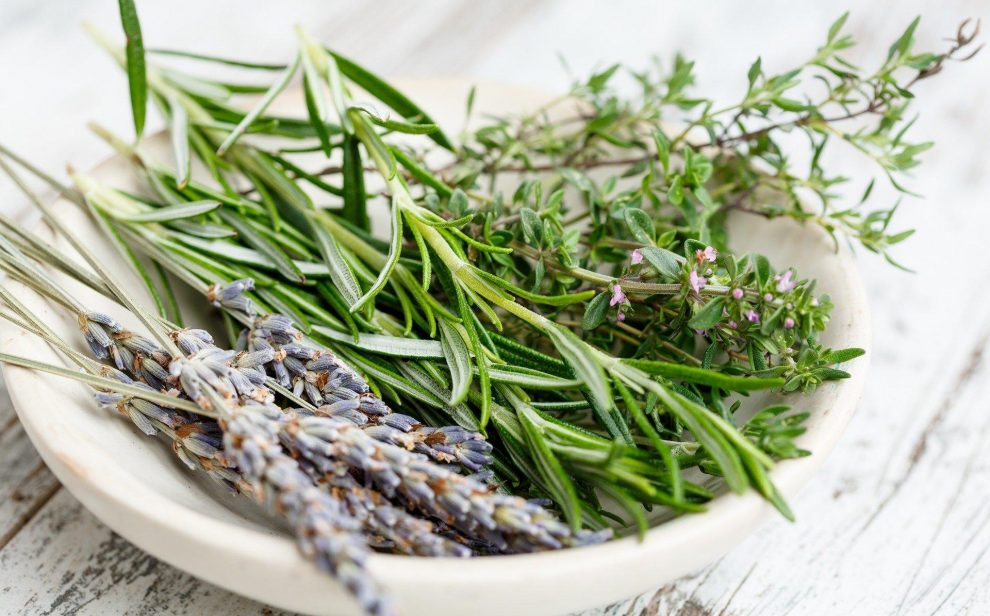 A bowl of herbs