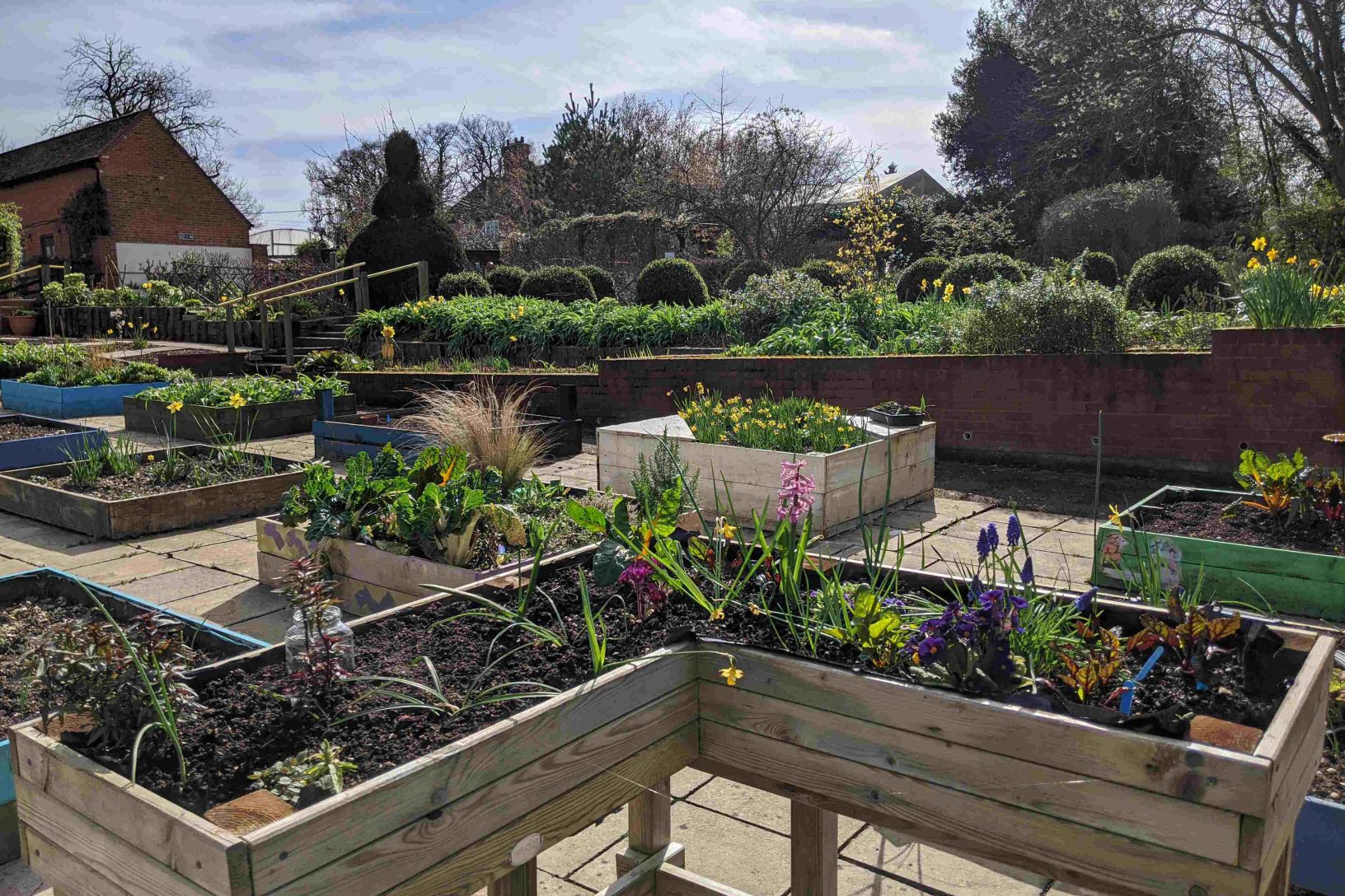 Planting Containers Thrive