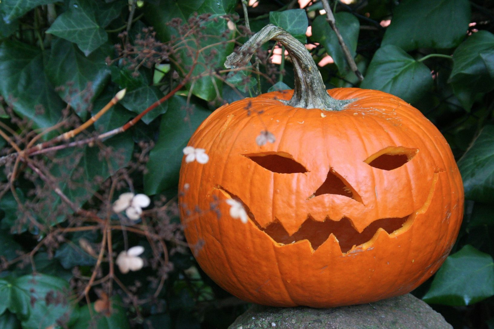 Pumpkin carving halloween 2