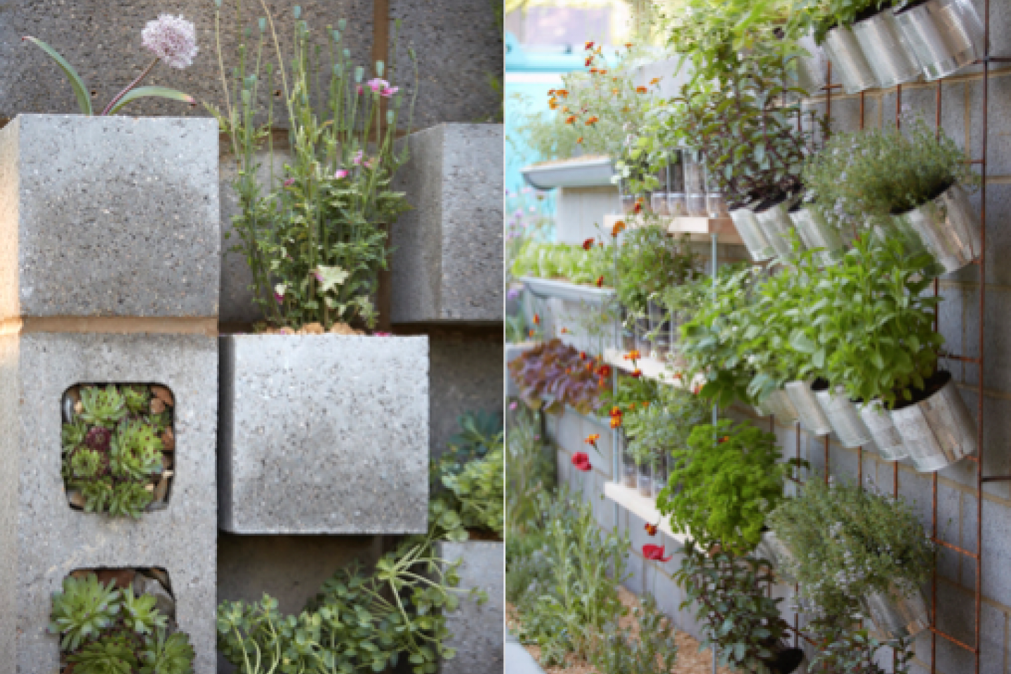 A vertical garden designed by Tom Massey for RHS Chelsea Flower Show