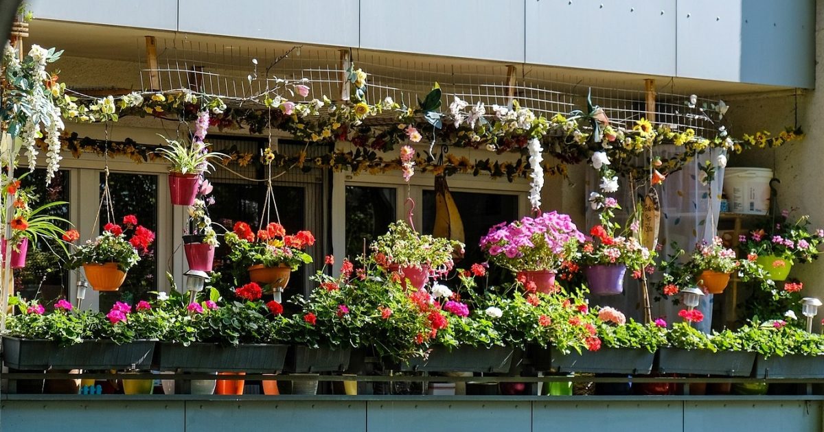 Getting started with a balcony garden - Thrive