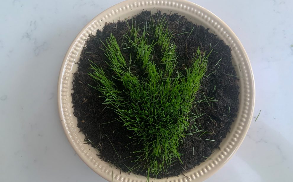 Grass hands final