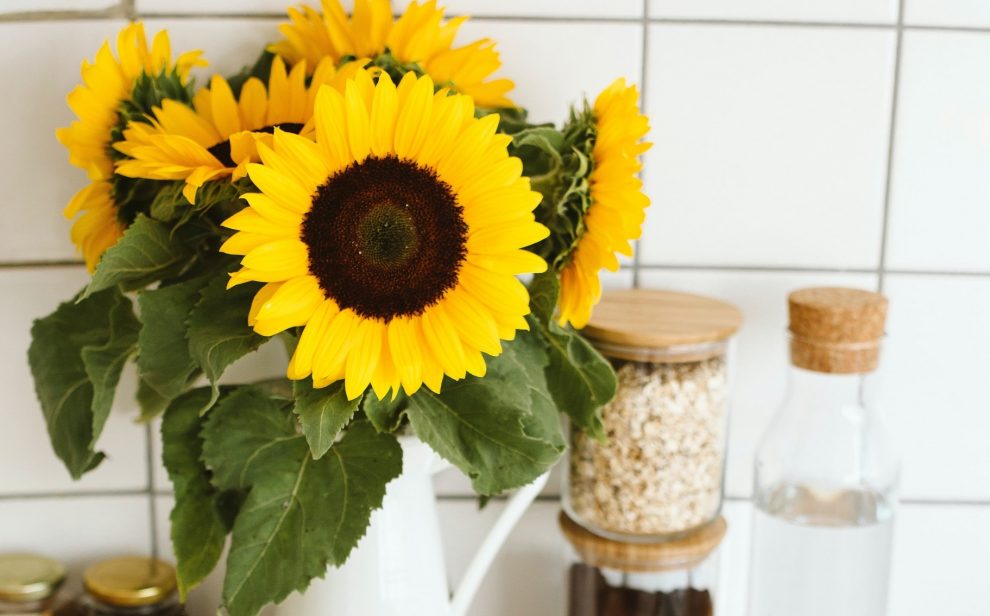 Sunflowers in vase pexels