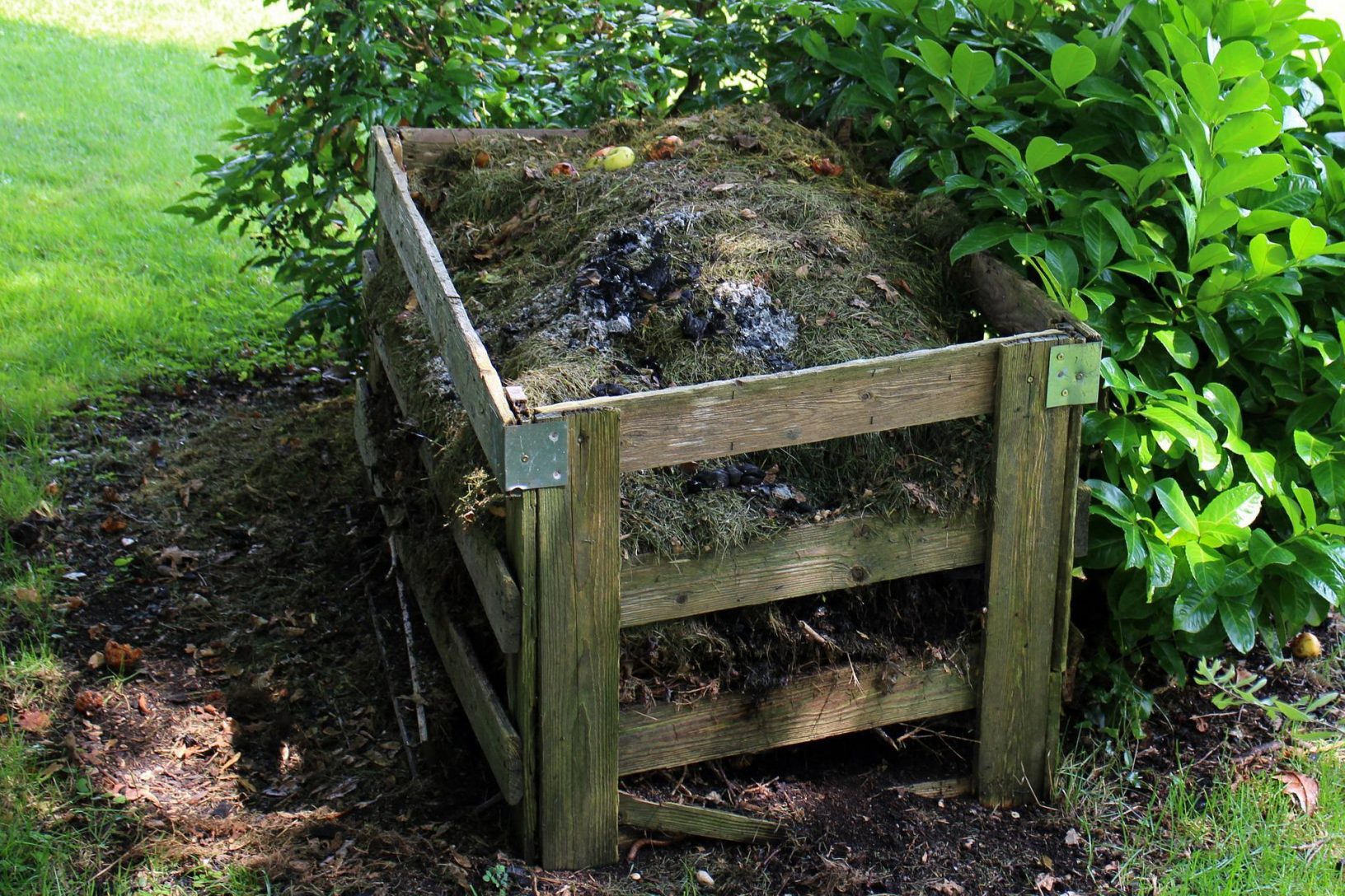 Compost in a wooden frame compost bin