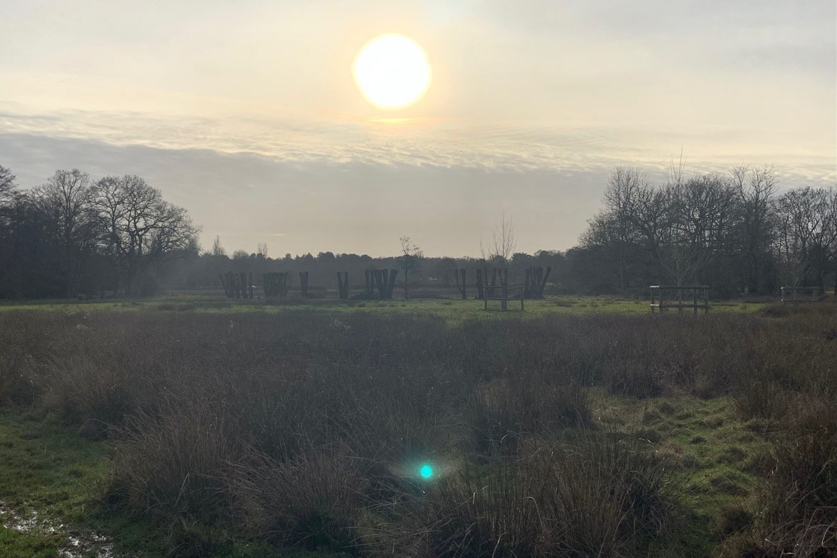 Winter walk