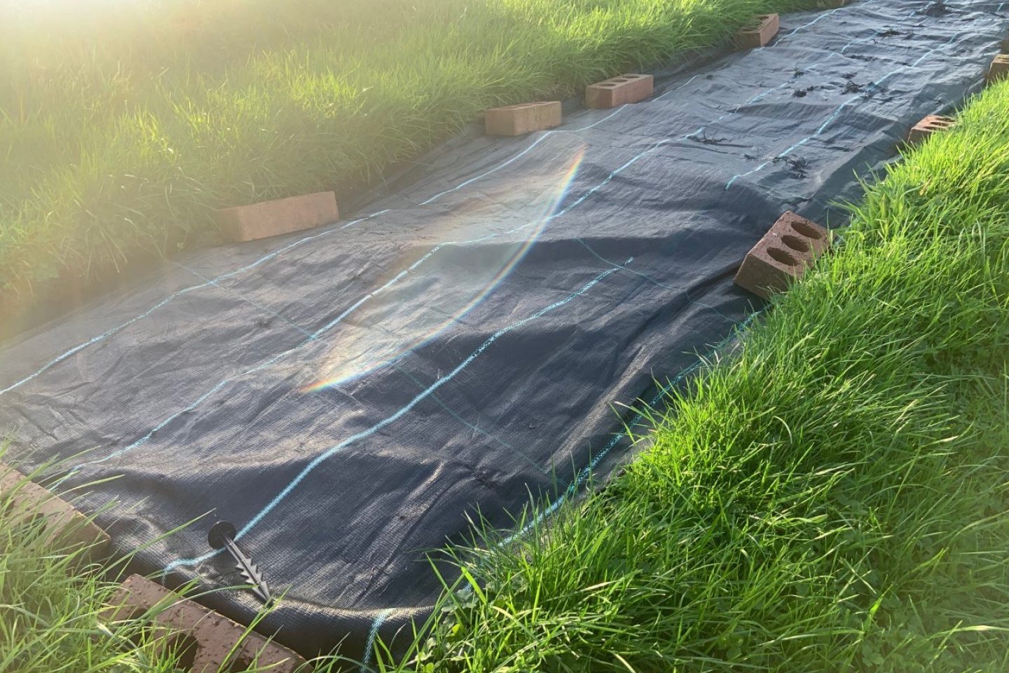 Allotment covered with sheeting winter