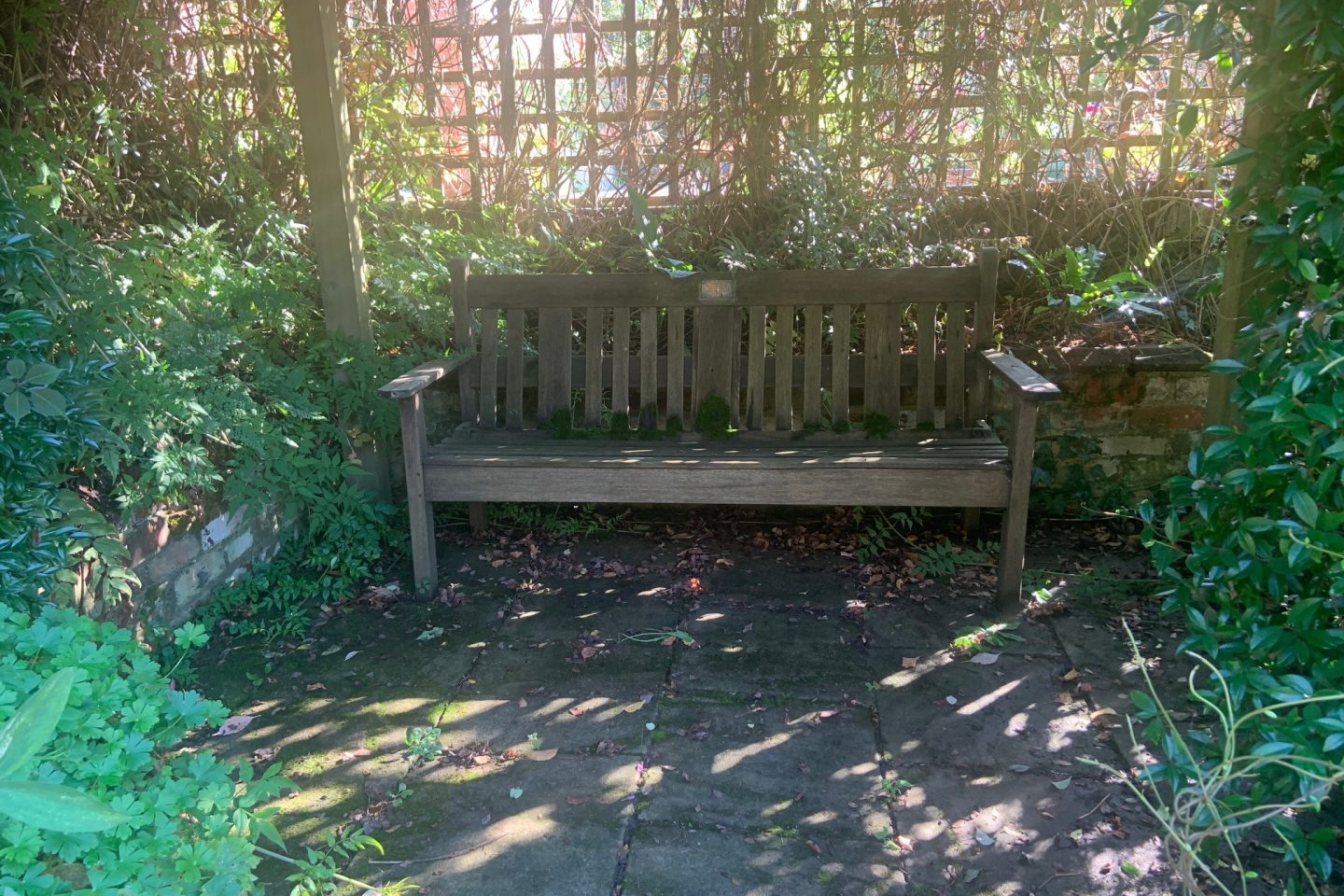 Bench shady spot garden