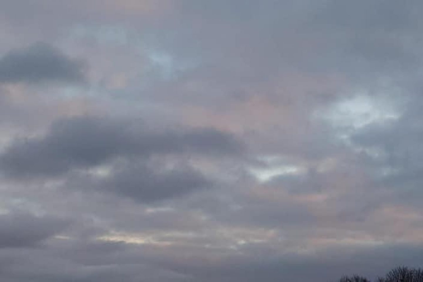 Cloud spotting Daria Miller
