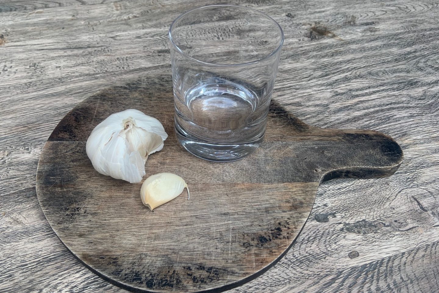 Garlic clove growing equipment