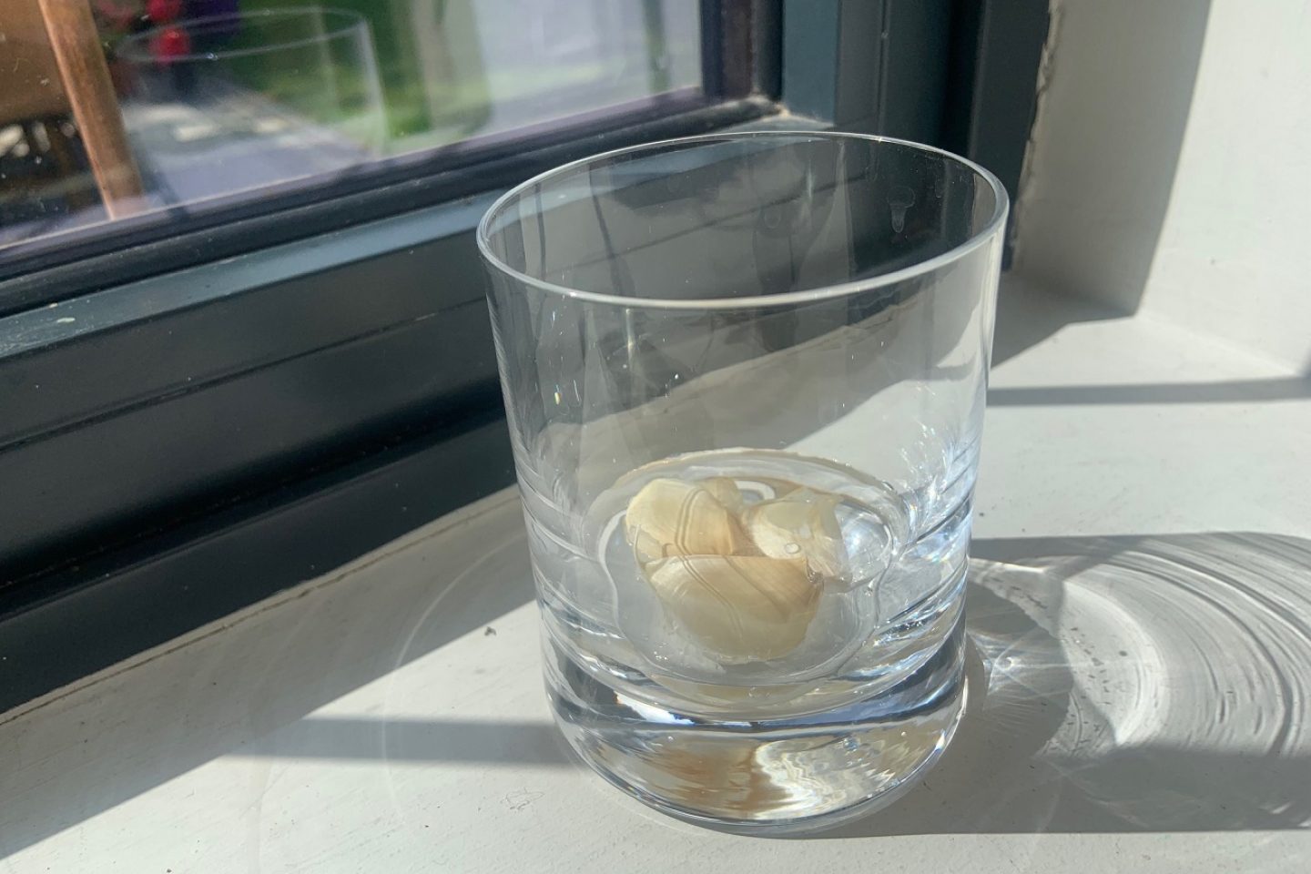 Garlic cloves on a windowsill