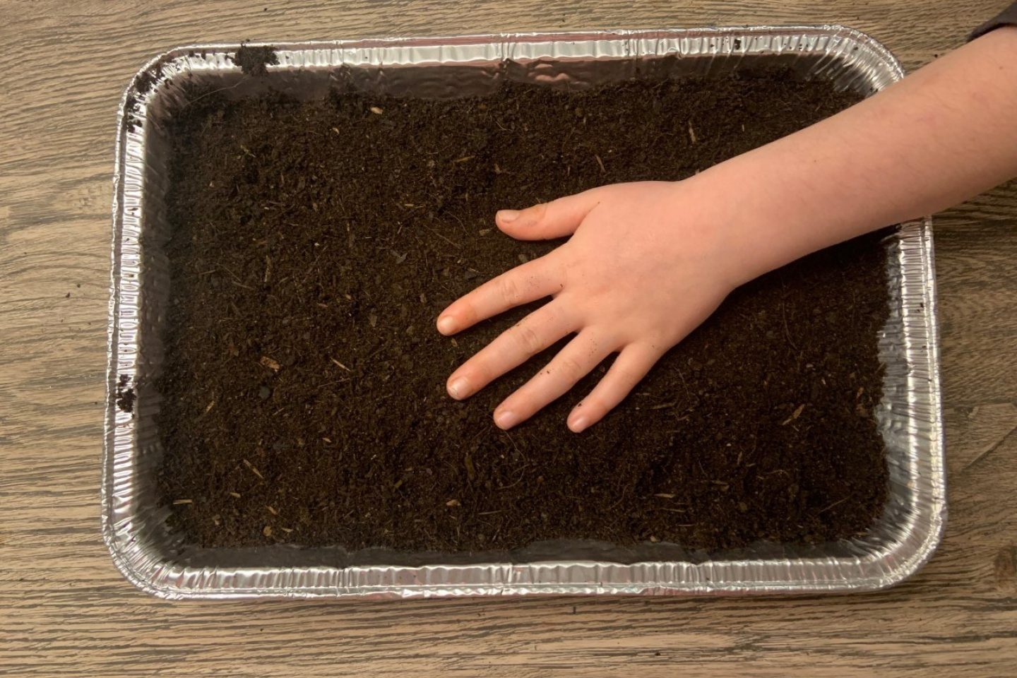 Indoor desert compost