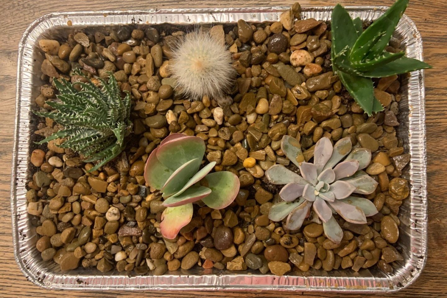 Indoor desert finished