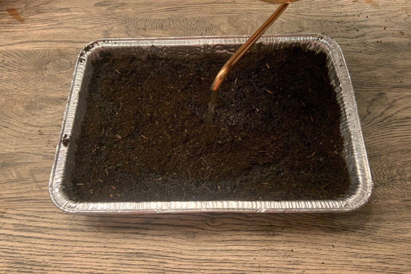 Indoor desert watering