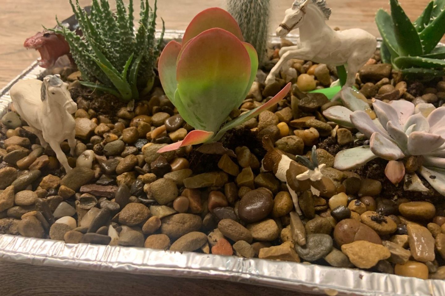 Indoor desert with decorations