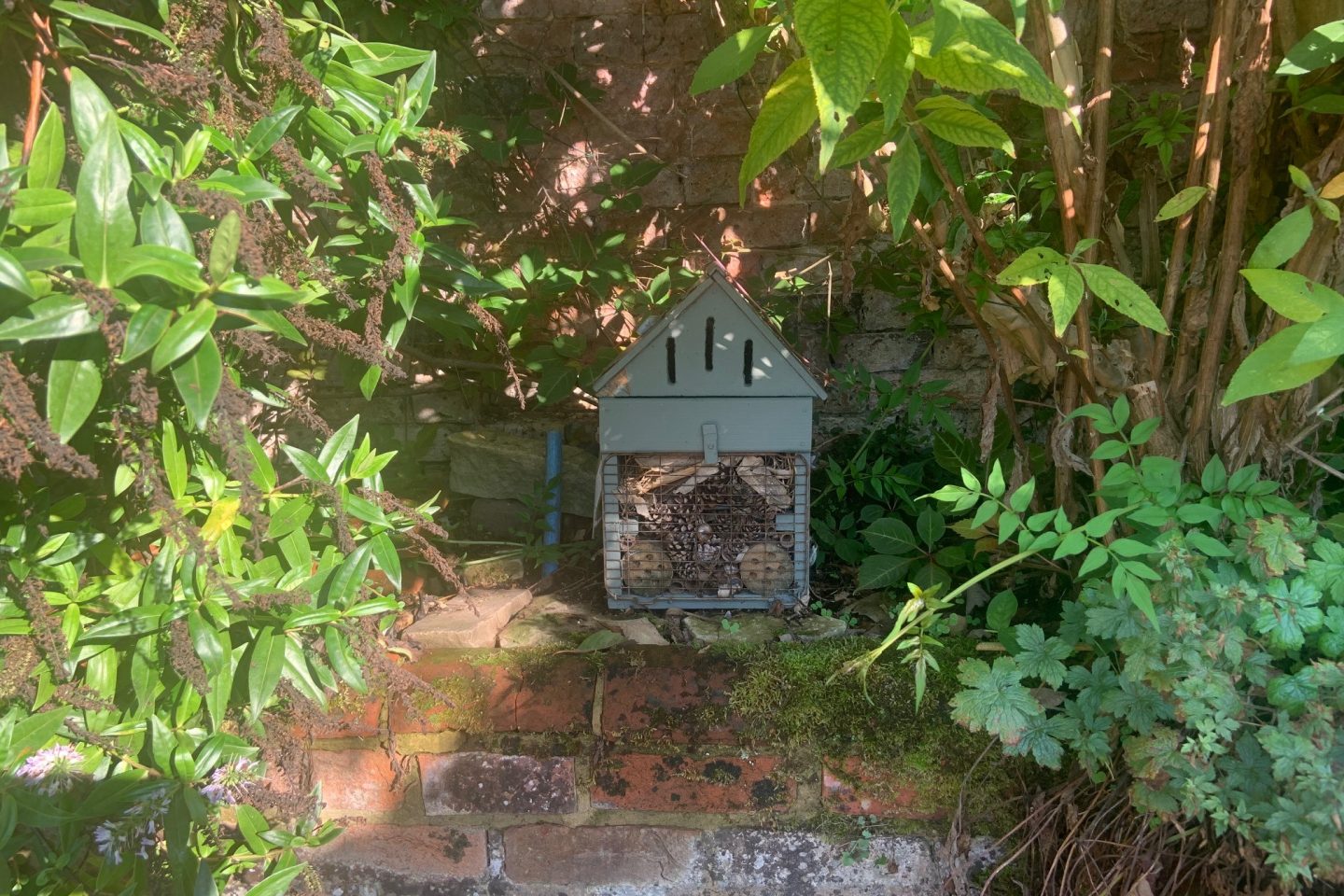 An insect house on a garden wall