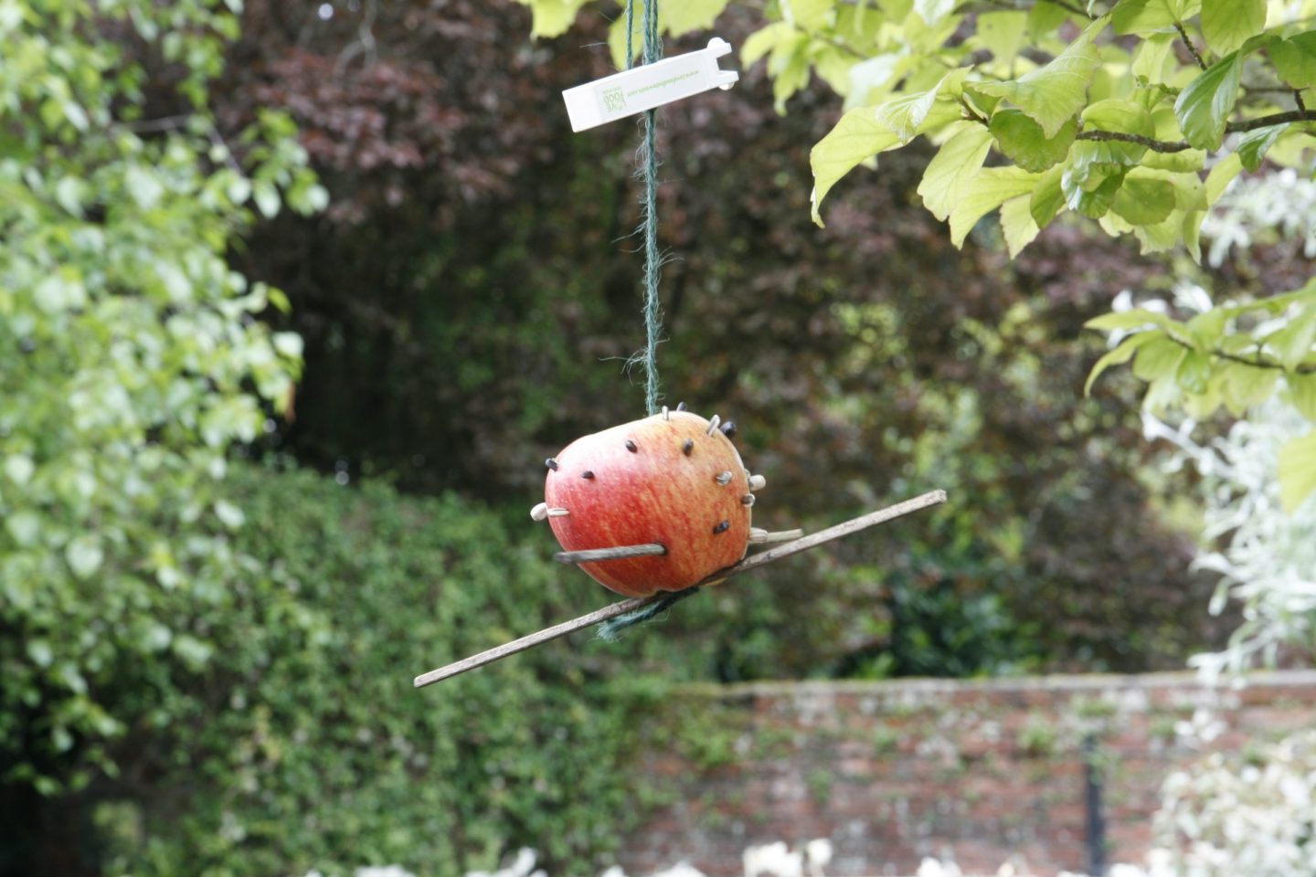 Milly apple bird feeder