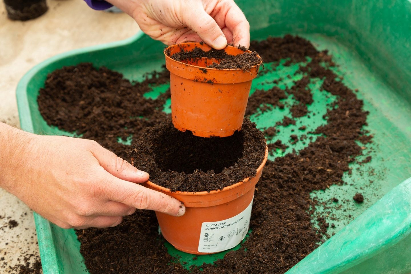 Potting on - Thrive