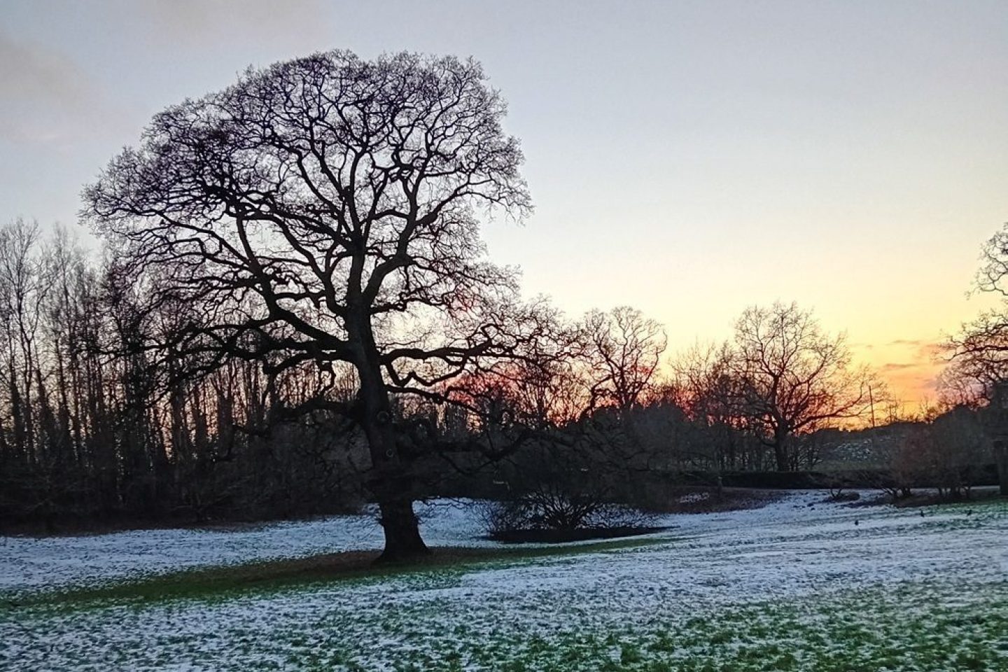 Rita sunset in belfast landscape