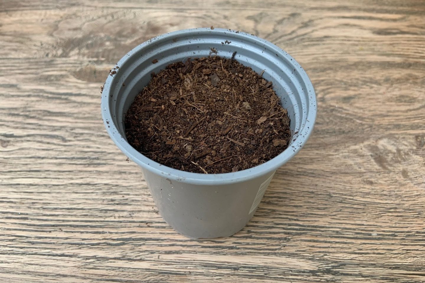 Small pot filled with compost