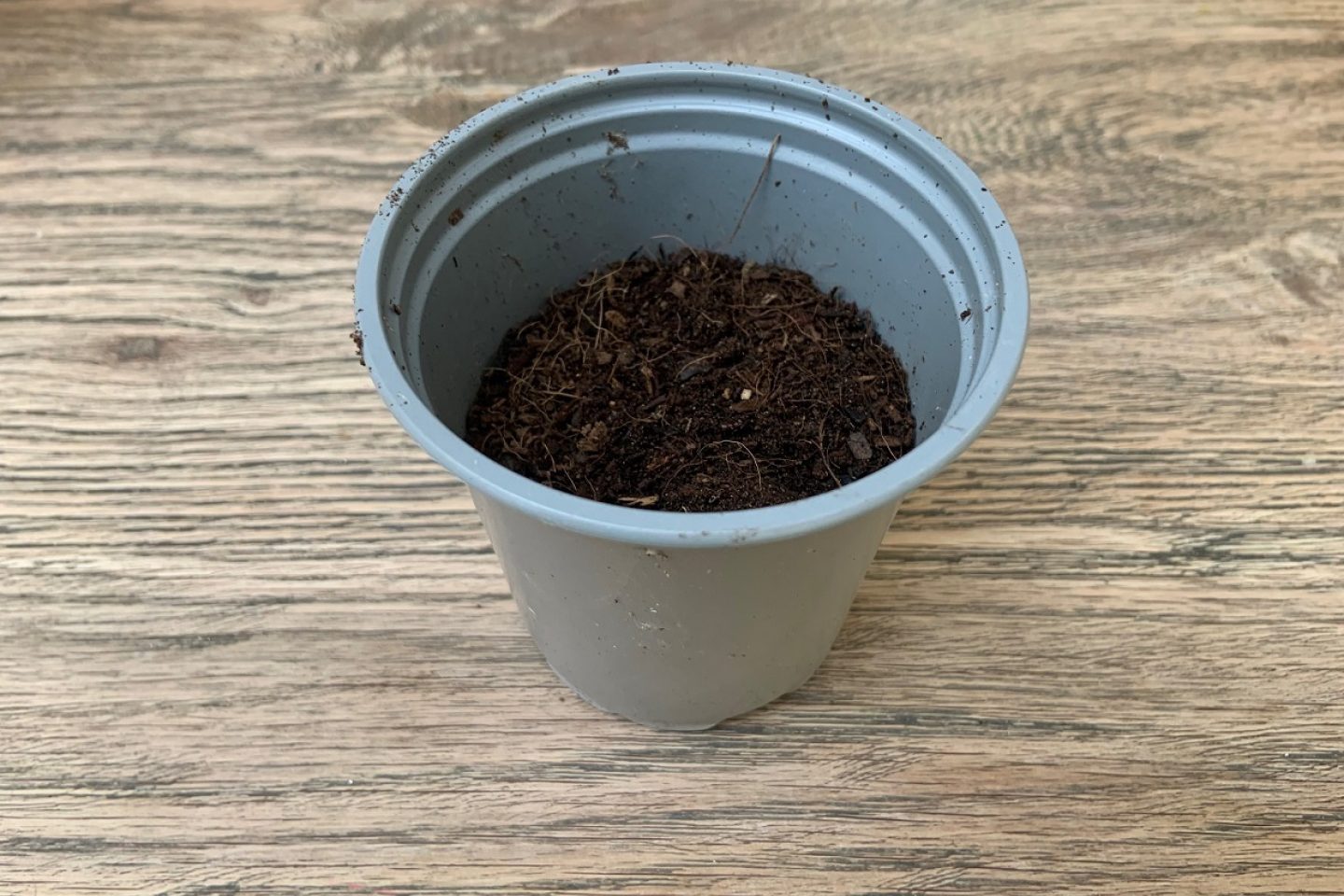 Small pot part filled with compost small