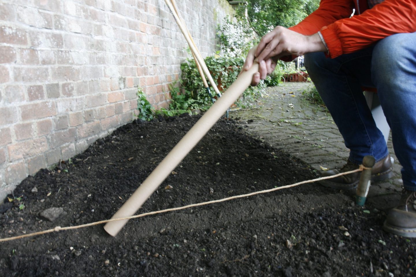 Sowing seeds in a drill using a long cardboard tube