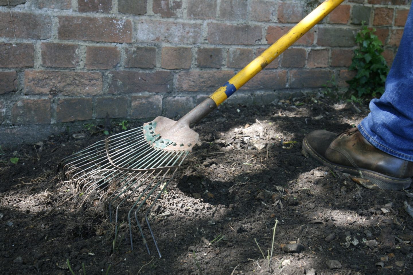 Spring tine rake soil bed 3