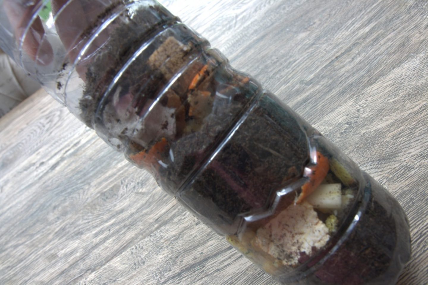 Large clear plastic bottle filled with layers of compost material