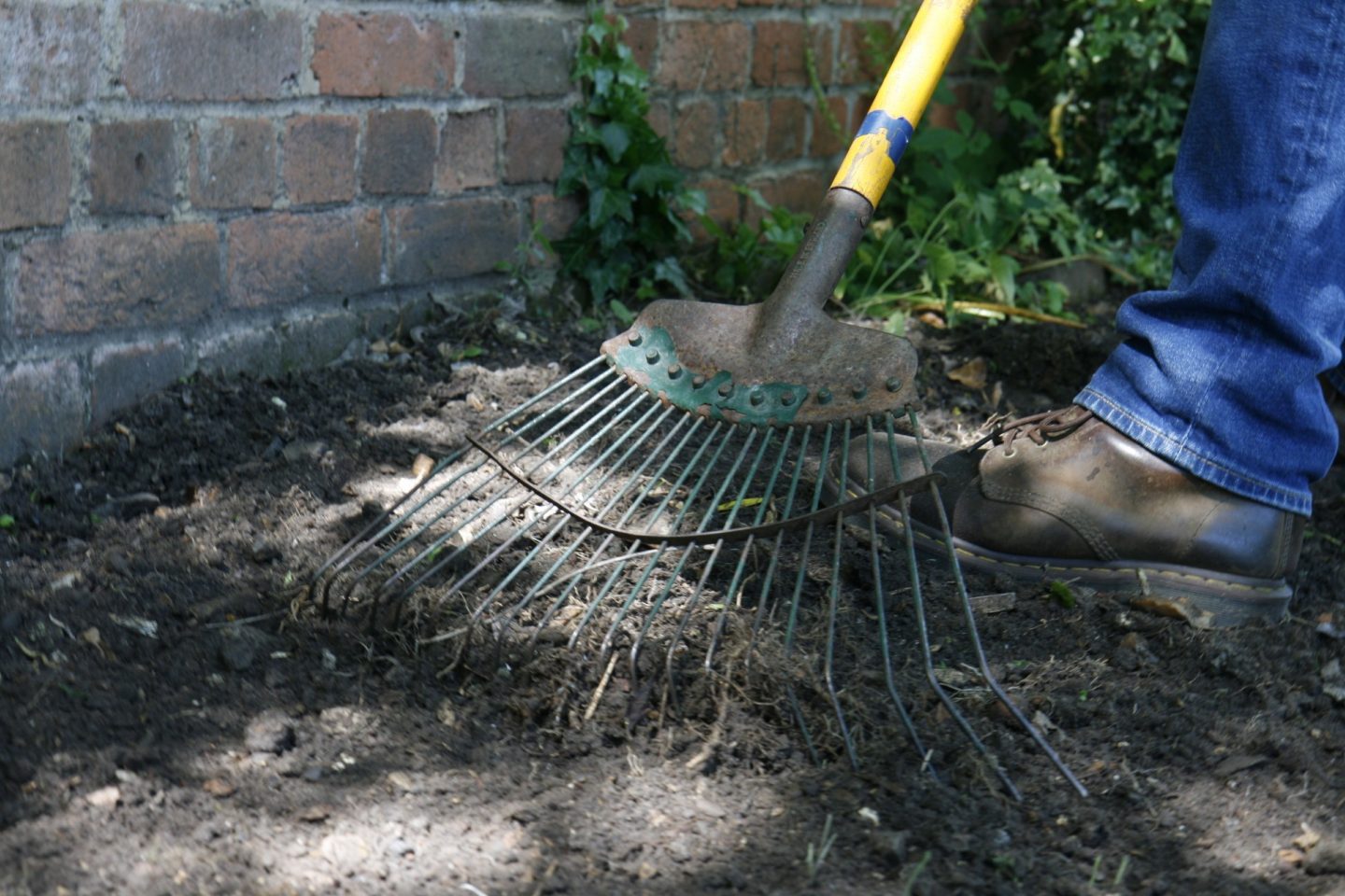 A spring tine rake is used to give the soil a final rake