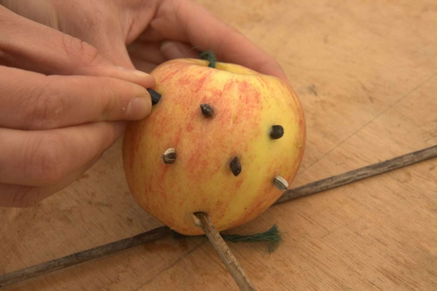 Sunflower seeds being poked all over an apple