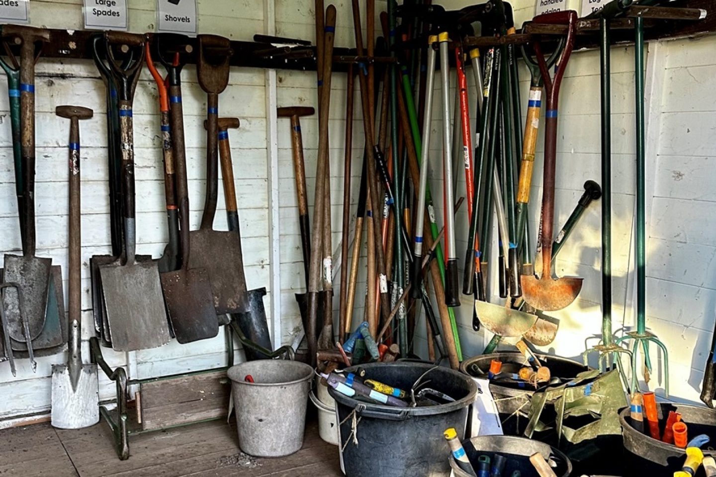 Thrive tool shed landscape
