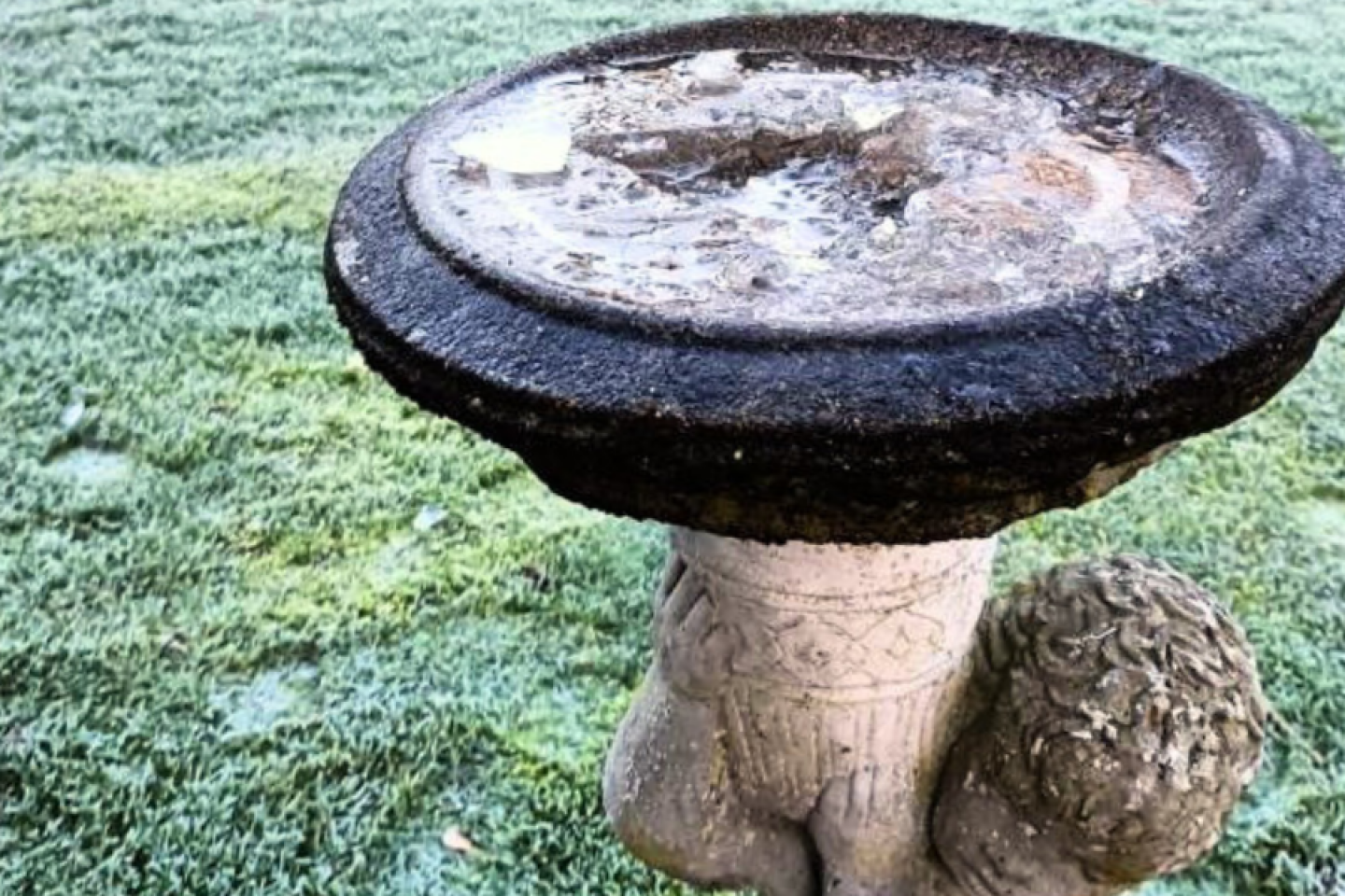 WW frozen bird bath