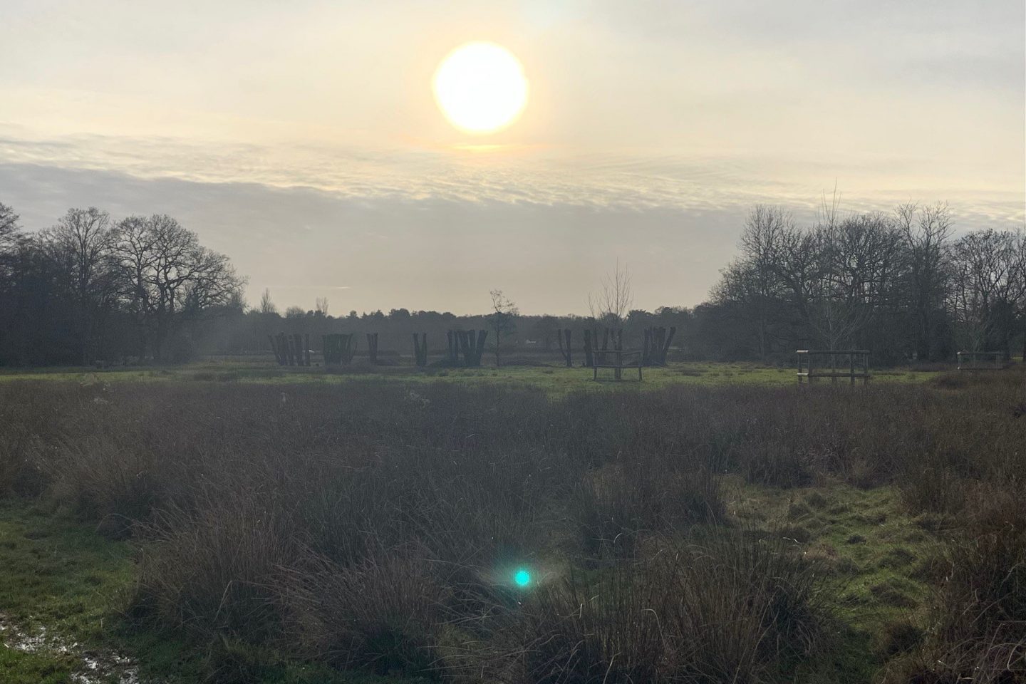 Winter walk
