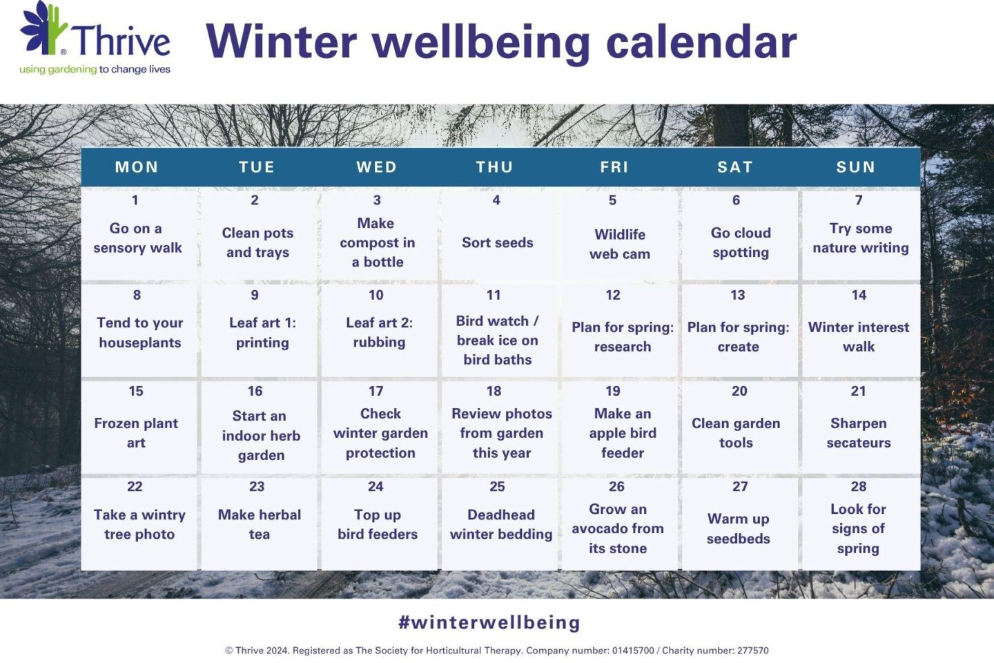 Winter wellbeing calendar A4