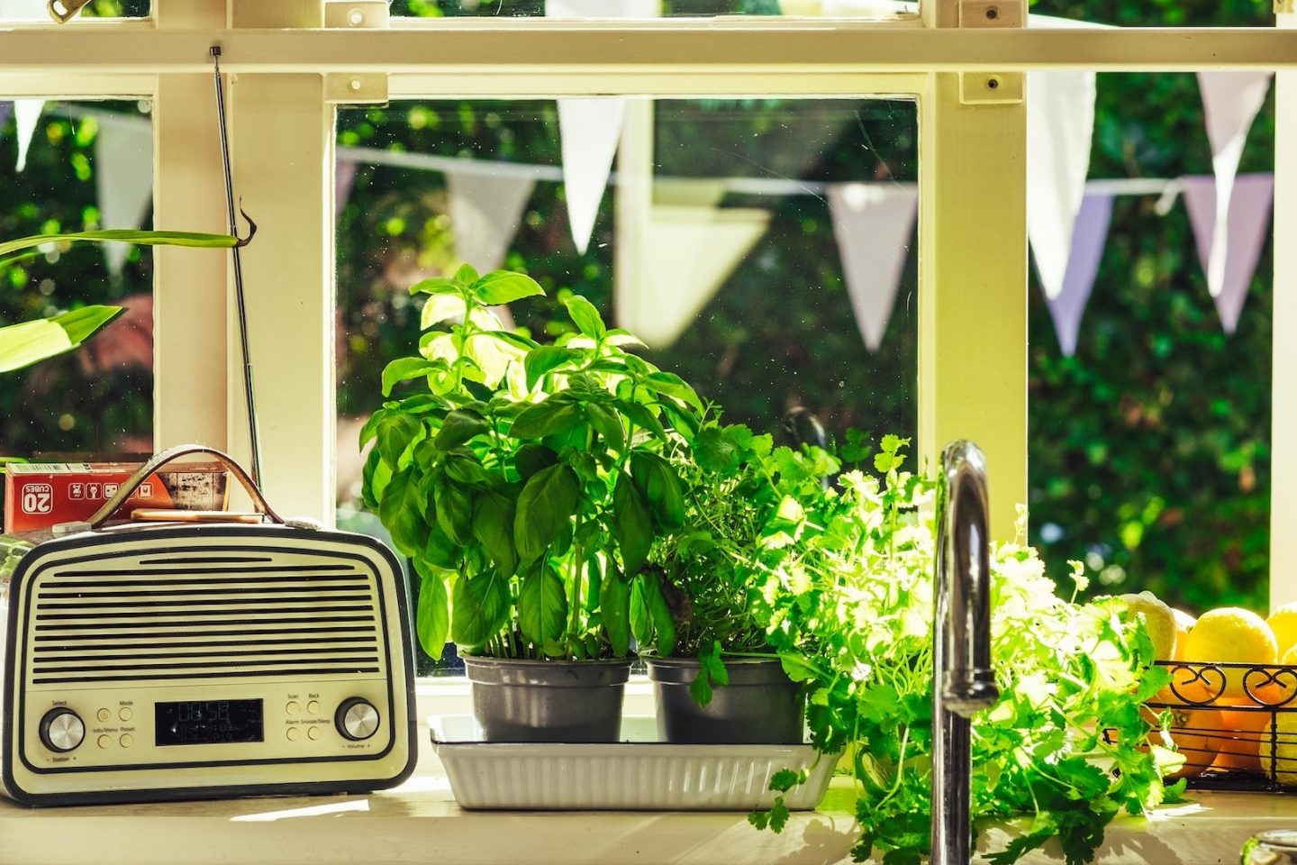 Herb garden Photo by Harry Grout on Unsplash