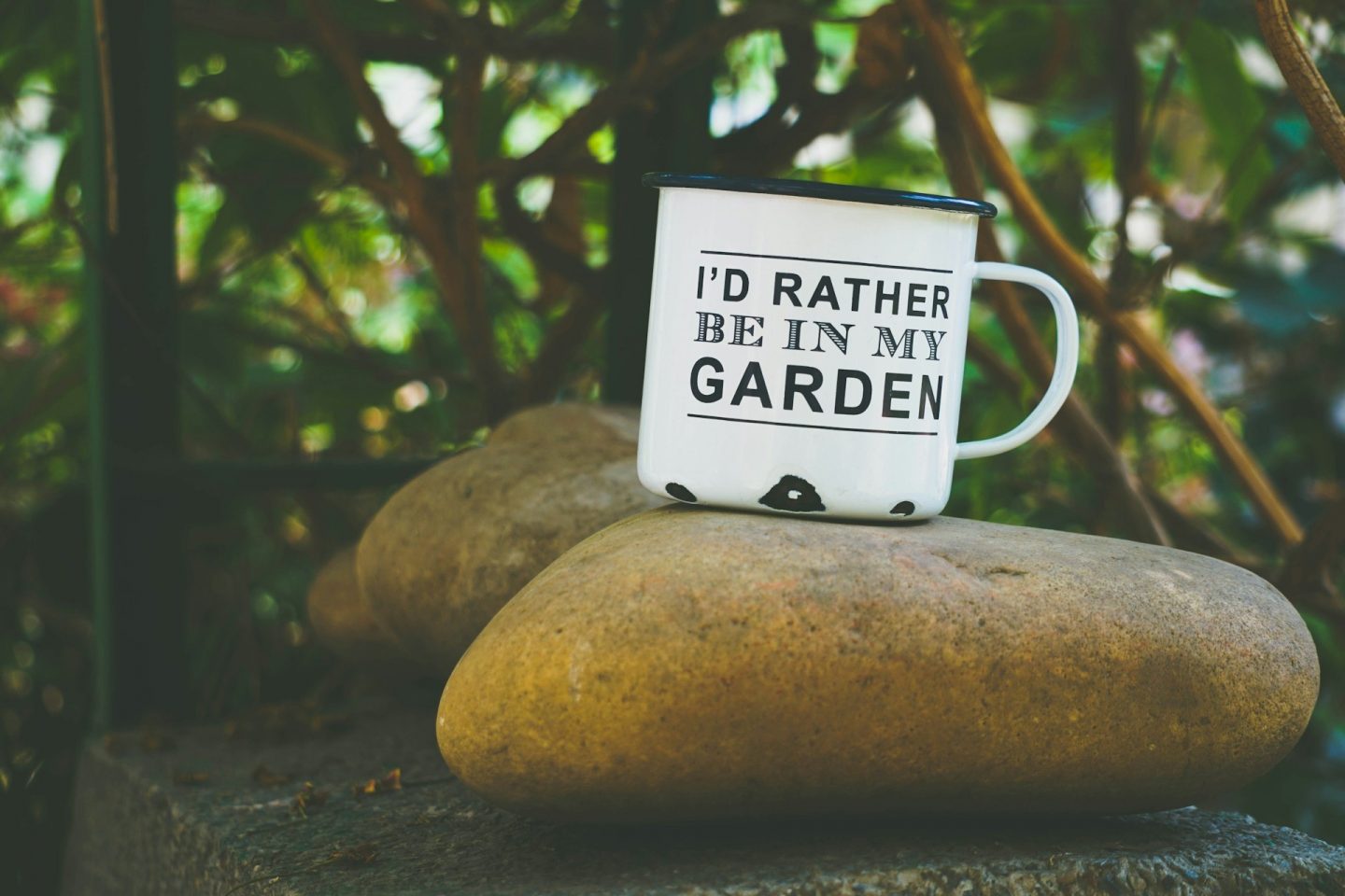 Id rather be in the garden hans vivek unsplash