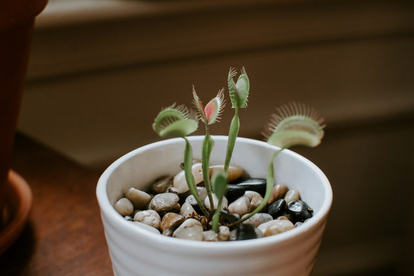 Kelly sikkema 1w Vy0 Hpxz U unsplash