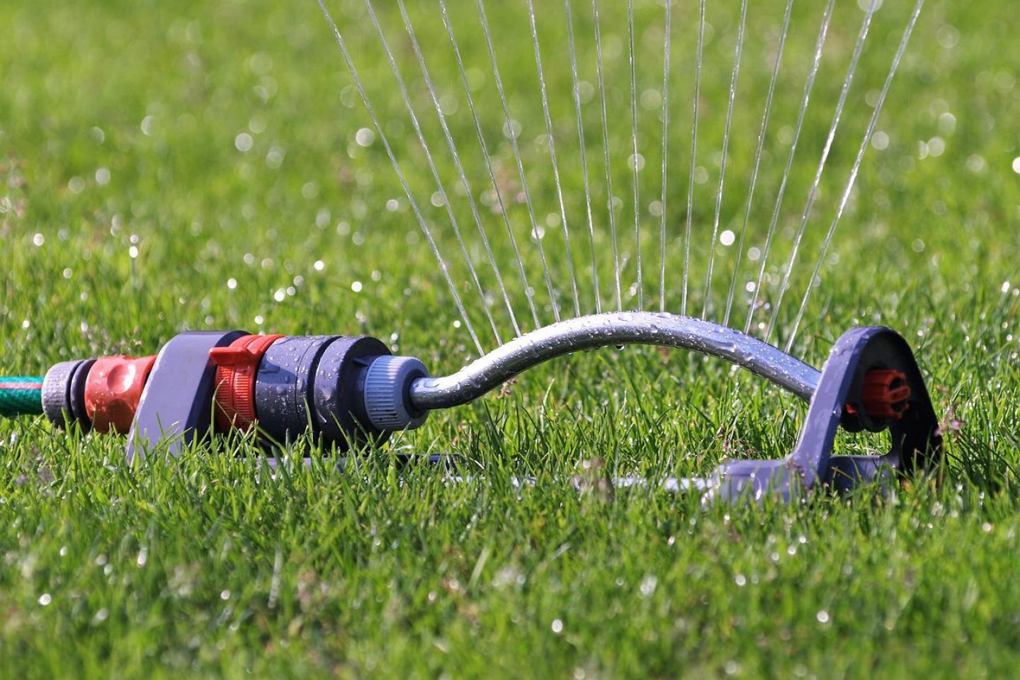 A lawn sprinkler delivering a jet of water