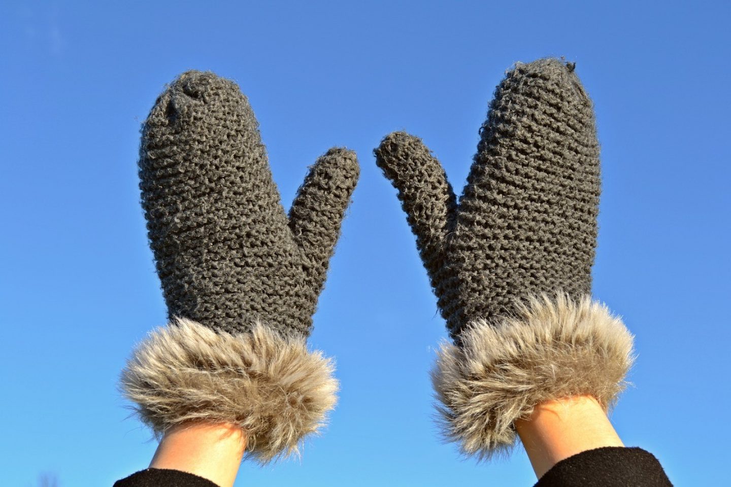 Mittens 1177211 1280