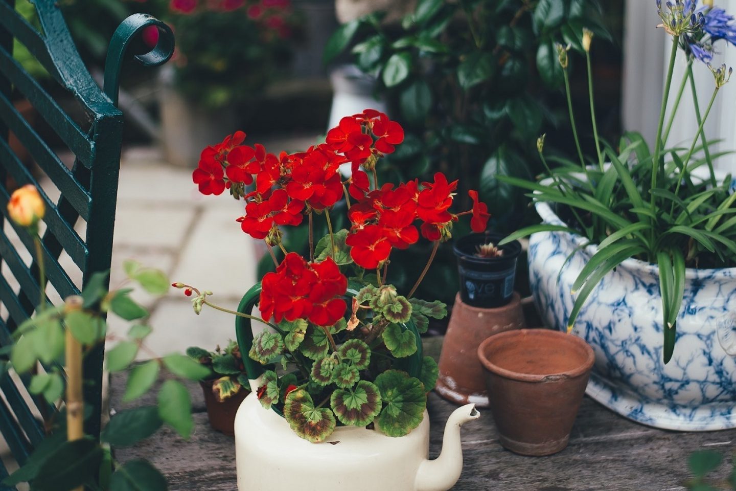 Quirky garden pots annie spratt unsplash