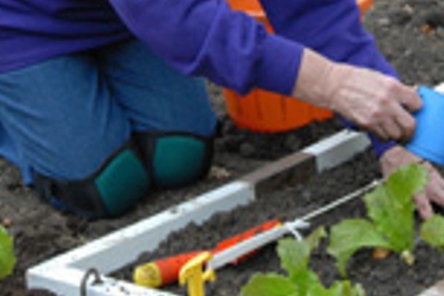 Right angle guide planting out