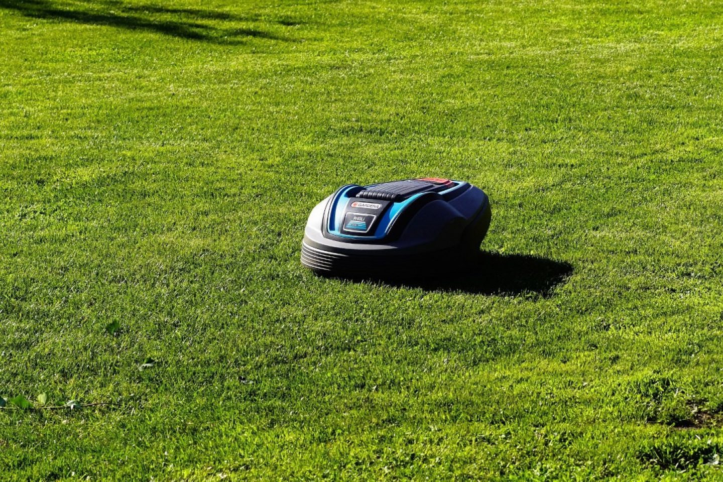 A robot lawn mower going across a green lawn