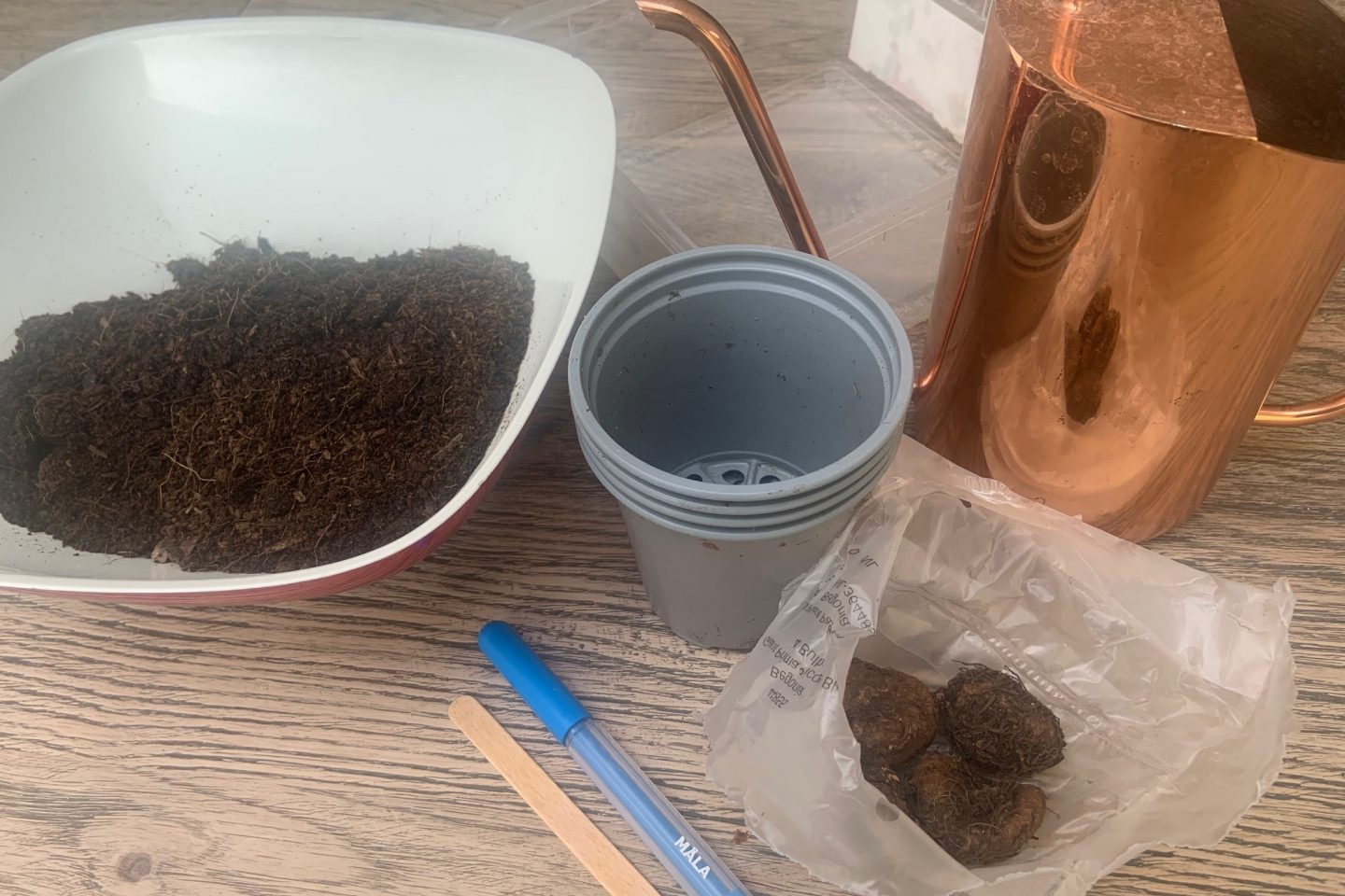 Tuberous begonia equipment