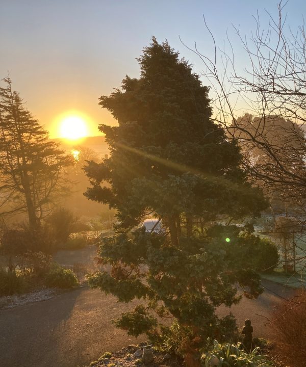 Mary Halligan Gardening Club sunrise over Cobh County Cork